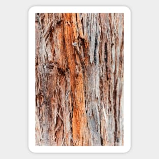 Vibrant Tree Oozing Sap From Trunk - Alternative IV Sticker